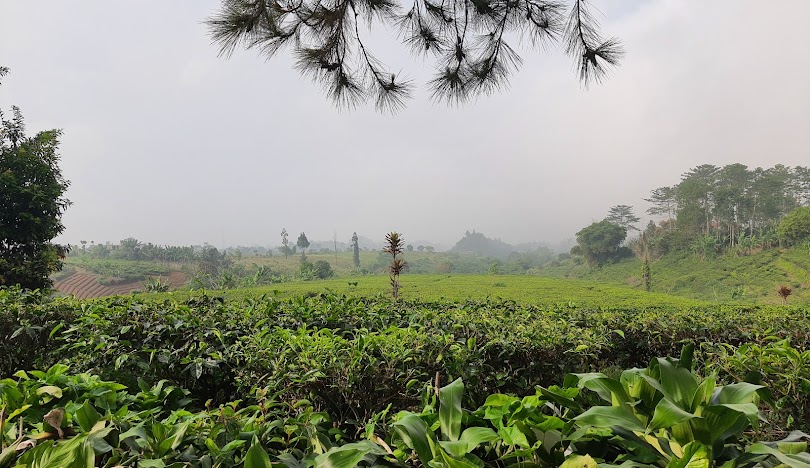 Kabupaten Sukabumi