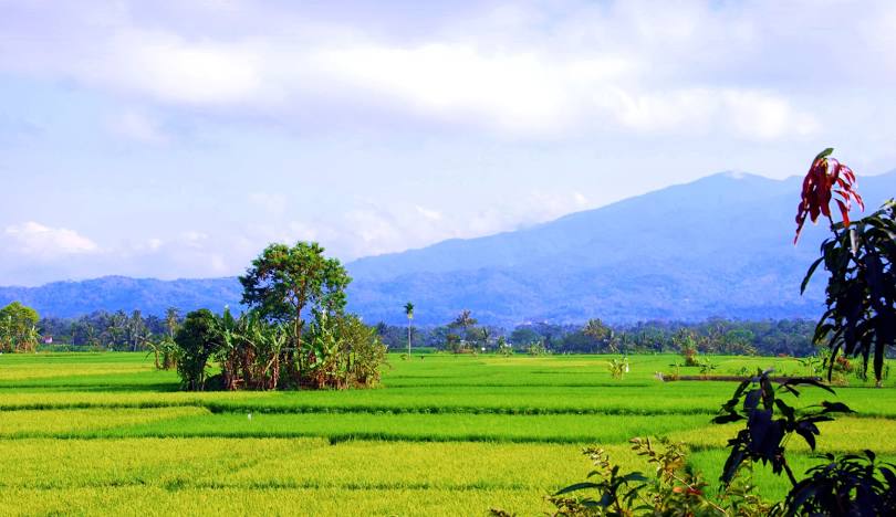 Kota Tasikmalaya