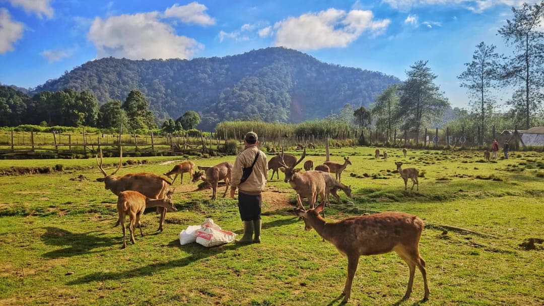 Kampung Cai Ranca Upas: Nature Escape in Bandung