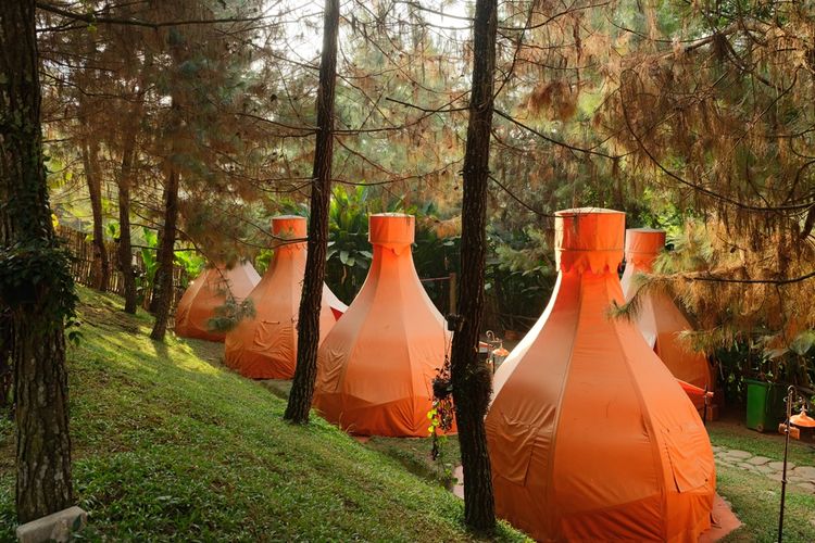 The Lodge Maribaya Bandung, Nature Spot in Lembang